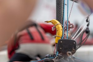 Zeeland-Regtta-@matthijs.photos-93